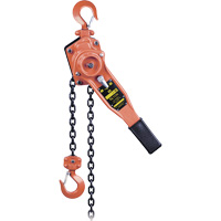 KLP-75-10 KLP Series Heavy-Duty Lever Chain Hoist, 10' Lift, 1500 lbs. (0.75 tons) Capacity Trail Hammer and Bolt