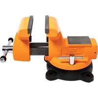 &eacute;tau d'&eacute;tabli pour m&eacute;canicien avec enclume, Largeur des m&acirc;choires 6" Trail Hammer and Bolt