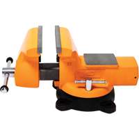 &eacute;tau d'&eacute;tabli pour m&eacute;canicien avec enclume, Largeur des m&acirc;choires 8" Trail Hammer and Bolt