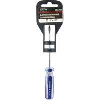 Tournevis &agrave; fente bleu transparent avec bandes , Tige de 1/8", Ronde, Prise en Plastique Trail Hammer and Bolt