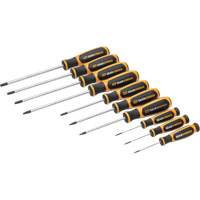 Jeu de tournevis bimat&eacute;riau Torx dans un plateau de rangement en mousse, 10 mcx Trail Hammer and Bolt