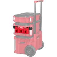 Accessoires de chariot pour boîte &agrave; outils PACKOUT Trail Hammer and Bolt