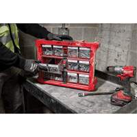 Organisateur PACKOUT &agrave; bac inclinable, 15-1/5" x 19-7/10" x 6-7/10", Noir/Rouge Trail Hammer and Bolt