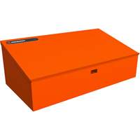 RAILWORKS Top Shelf Lockable Angled Workstation Trail Hammer and Bolt