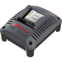 Chargeur de batterie compact IQV20, 20 V, Lithium-ion Trail Hammer and Bolt