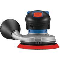 Brushless Random Orbital Sander (Tool Only) Trail Hammer and Bolt