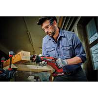 Scie alternative professionnelle sans fil (outil seulement), 18 V, Lithium-ion Bloc-pile Trail Hammer and Bolt