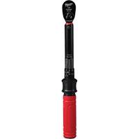 Cl&eacute; dynamom&eacute;trique, &agrave; cliquer, Entraînement 1/4" carr&eacute;, 4,5 - 22,6 Nm/40 - 200 lb-po Trail Hammer and Bolt