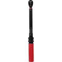 Cl&eacute; dynamom&eacute;trique, &agrave; cliquer, Entraînement 3/8" carr&eacute;, 20 - 100 lb-po/27,1 - 135,6 Nm Trail Hammer and Bolt