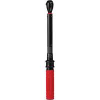Cl&eacute; dynamom&eacute;trique, &agrave; cliquer, Entraînement 3/8" carr&eacute;, 20 - 100 lb-po/27,1 - 135,6 Nm Trail Hammer and Bolt