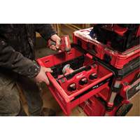 Diviseur pour boîtes &agrave; outils &agrave; tiroirs Packout Trail Hammer and Bolt