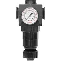 MODULAIR 400 Zinc Diaphragm Regulator, 1/2" NPT, 300 psi Max. PSI, In Line/Modular Trail Hammer and Bolt