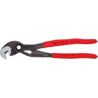 Pince Raptor, 10" Trail Hammer and Bolt