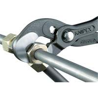 Pince Raptor, 10" Trail Hammer and Bolt