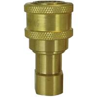 RACCORD HYDRAULIQUE FERME 2VOIES,1/2"NPT,LAITON, Laiton/Acier inoxydable Trail Hammer and Bolt