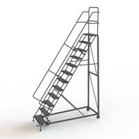 Heavy Duty Rolling Ladder, 12 Steps, 24" Step Width, 120" Platform Height, Steel Trail Hammer and Bolt