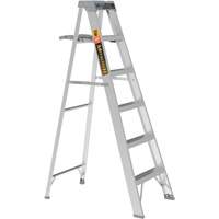 Step Ladder with Paint Tray, 6', Aluminum, 225 lbs. Capacity, Type 2 Trail Hammer and Bolt