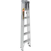 Step Ladder with Paint Tray, 6', Aluminum, 225 lbs. Capacity, Type 2 Trail Hammer and Bolt