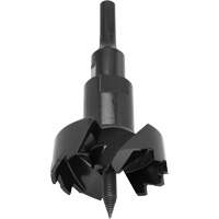 Self-Feed Bit, 3" Trail Hammer and Bolt