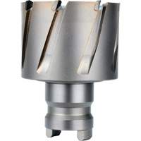 Fraise avec tenon &agrave; changement rapide Drive Hawg, Diam&egrave;tre de 2", Acier, Profondeur de la coupe de 1" Trail Hammer and Bolt