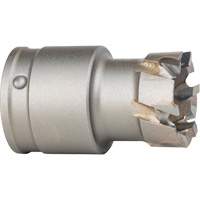 Quick Change Steel Plate Cutter Trail Hammer and Bolt