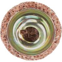 Standard Abrasives Quick-Change Surface Conditioning Disc, 3/4" Dia., Coarse Grit, Aluminum Oxide Trail Hammer and Bolt