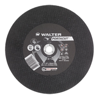 Portacut High Speed Cut-Off Wheel, 12" x 1/8", 3/4" Arbor, Type 1, Silicon Carbide, 6300 RPM Trail Hammer and Bolt