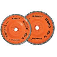 Blendex U Finishing Cup Disc, 4-1/2" Dia., Fine Grit, Silicon Carbide Trail Hammer and Bolt