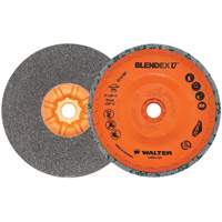 Blendex U Finishing Cup Disc, 5" Dia., Fine Grit, Silicon Carbide Trail Hammer and Bolt