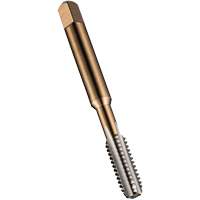 Taraud &agrave; main pour usage g&eacute;n&eacute;ral, Acier rapide, Filet M10x1,25 Trail Hammer and Bolt