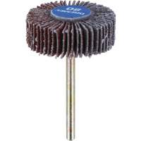 M&egrave;che de ponçage &agrave; roue &agrave; lamelles 3/8" - grain 80 Trail Hammer and Bolt