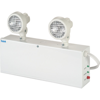 Lampes de secours Nova, Acier, Incandescente, 120 V - 347 V Trail Hammer and Bolt