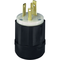 Dispositif verrouillable de qualit&eacute; industrielle, Nylon, 30 A, 250 V, L6-30P Trail Hammer and Bolt