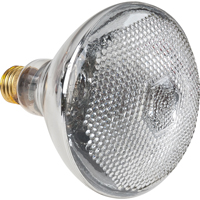 Economy Line Incandescent Lamps Trail Hammer and Bolt
