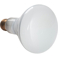 Economy Line Incandescent Lamps Trail Hammer and Bolt