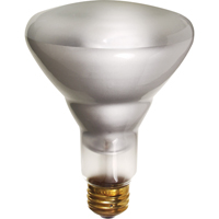 Economy Line Incandescent Lamps Trail Hammer and Bolt