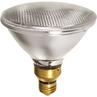 Economy Line Lamps Trail Hammer and Bolt