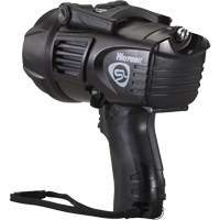 Projecteurs style pistolet Waypoint, DEL, 550 Lumens, Piles C Trail Hammer and Bolt