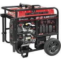 G&eacute;n&eacute;ratrice &agrave; essence &agrave; deux cylindres en V, 15 000 W de surtension, 12 500 W nominale, 120 V/240 V, R&eacute;servoir de 40 L Trail Hammer and Bolt