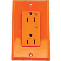 Surge Protective Isolated Decora&reg; Outlet Trail Hammer and Bolt