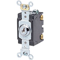 Heavy-Duty Key Locking Switch Trail Hammer and Bolt