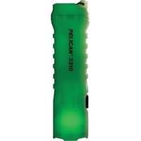 Lampe de poche, DEL, 378 lumens, Piles AA Trail Hammer and Bolt