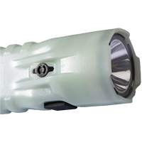Lampe de poche, DEL, 378 lumens, Piles AA Trail Hammer and Bolt