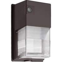 Luminaire mural TWS, DEL, 120 - 277 V Trail Hammer and Bolt