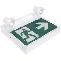 Enseigne d'homme qui court avec &eacute;clairage de s&eacute;curit&eacute;, DEL, &agrave; piles/&agrave; raccordement fixe, 12-1/10" lo x 11" la, Pictogramme Trail Hammer and Bolt