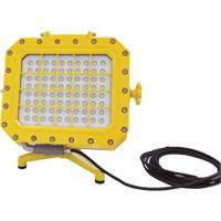Explosion Proof Floodlight with Floor Stand, LED, 40 W, 5600 Lumens, Aluminum Housing Trail Hammer and Bolt