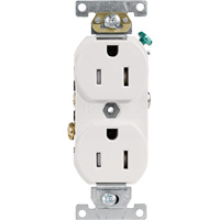 Duplex Receptacle Trail Hammer and Bolt