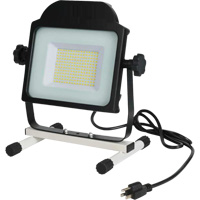 Floodlight, LED, 100 W, 10000 Lumens Trail Hammer and Bolt