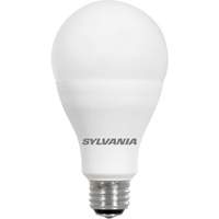 Lampe Ultra LED A-Line, 23 W, 2600 lumens, base Moyen Trail Hammer and Bolt