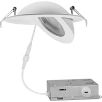 Gimbal Light Fixture, LED, 120 V, 9 W Trail Hammer and Bolt